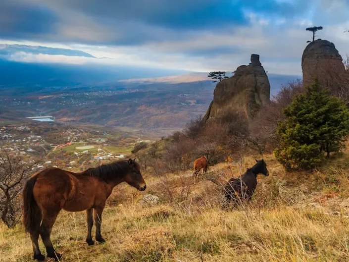 Romania Country Side